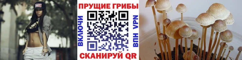 Галлюциногенные грибы мухоморы  что такое   Славск 